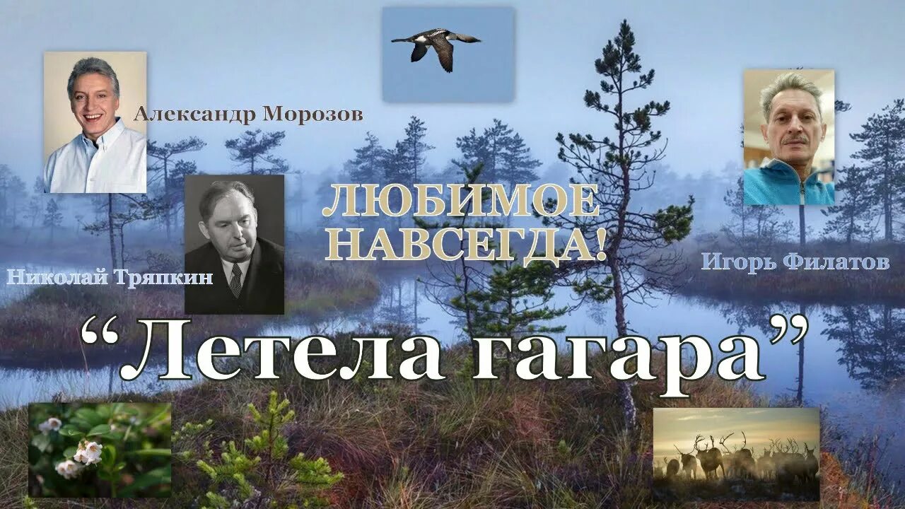 Песня гагара текст. Летела гагара ноты. песня летела гагара.