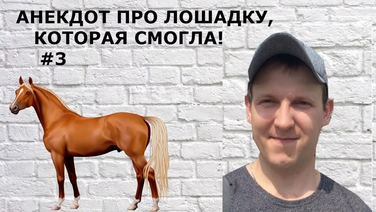Лошадка примерзла. Анекдот про лошадь которая не смогла. лошадка примерзла к забору. лошадь прилипла к забору. стих про лошадку примерзла к забору.
