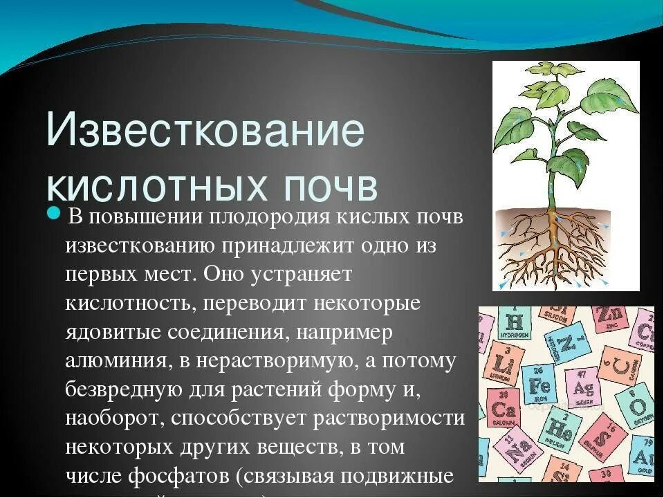 Как растения используют кислоту