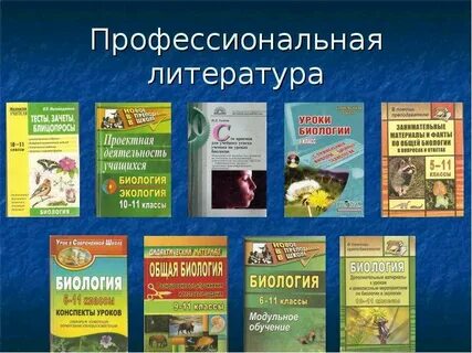 Понятие профессиональная литература