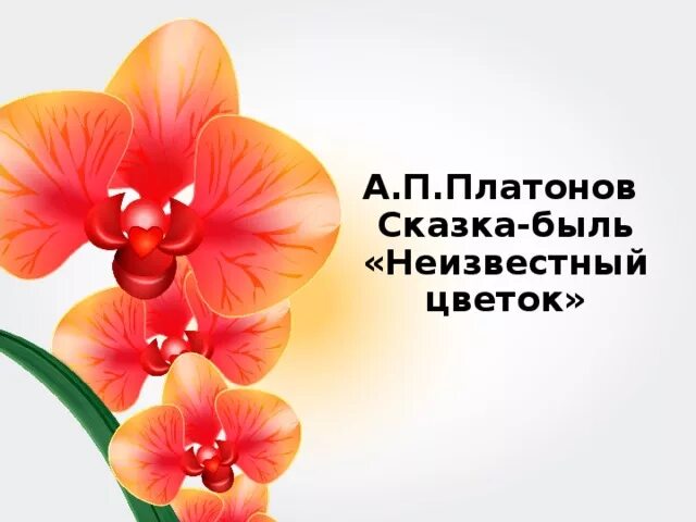 А п платонов сказка быль неизвестный цветок. Неизвестный цветок. Платонов сказка быль неизвестный цветок. Платонов а. "неизвестный цветок".