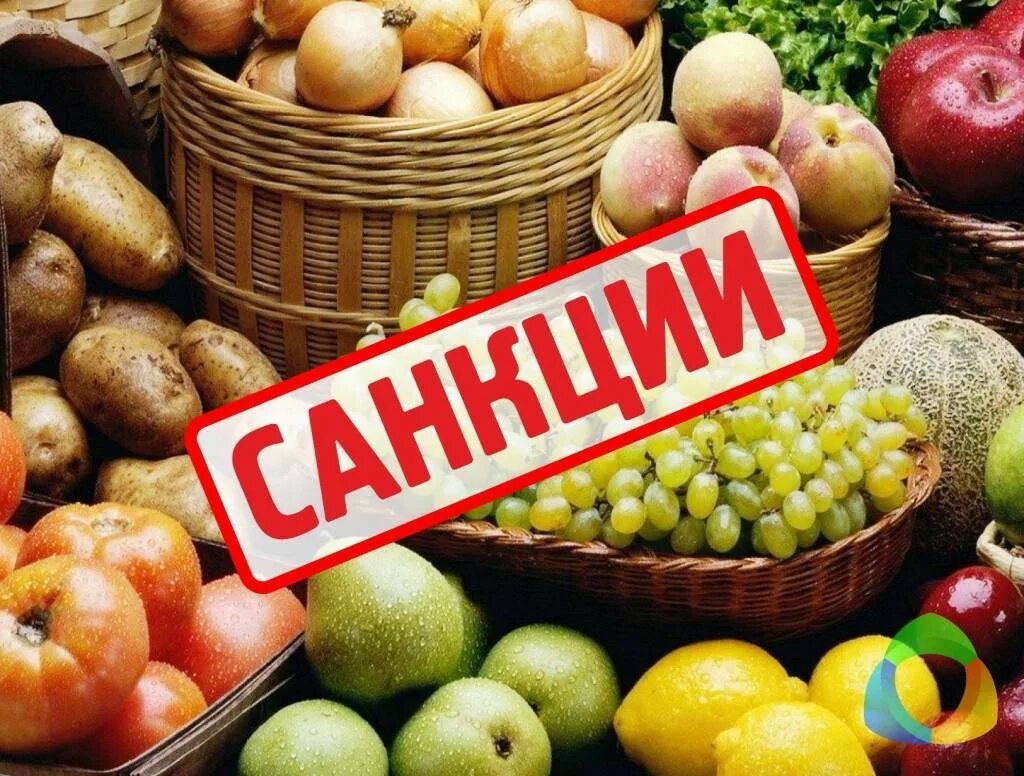 Ввоз запрещенных продуктов. Санкционные продукты. Санкции на продукты. Продовольственное эмбарго. Фрукты санкции.