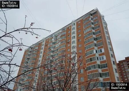 Красногорск горожанкиных