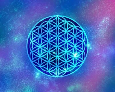Проект цветок жизни