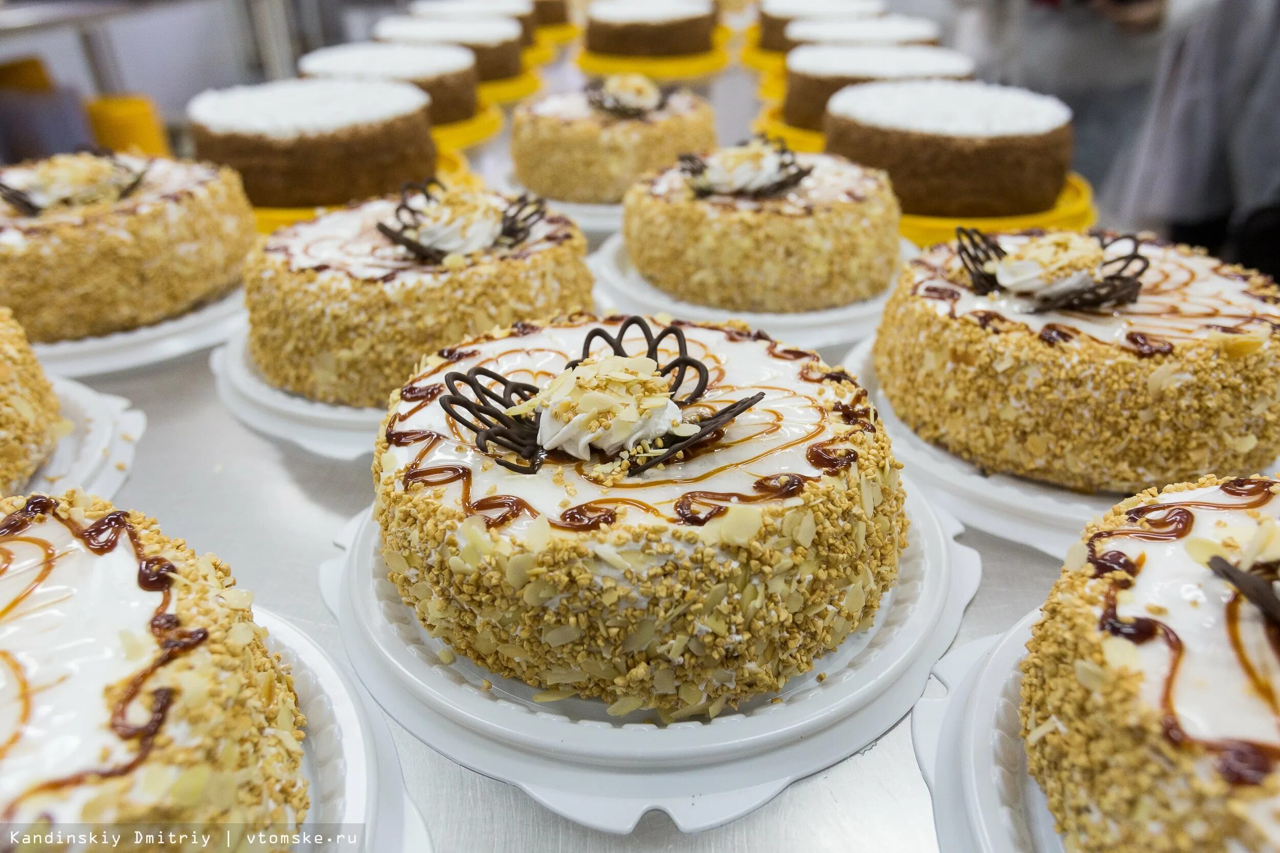 Nobo pastry cafe. Торт магазинный. Кафе конверсейшн в москве. Пирожки выпечка торты. Мастер-класс по изготовлению тортов.