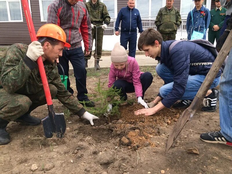 Усть-Удинское лесничество. Немское лесничество. Форма школьного лесничества. Лесхоз Усть-Бюрь.