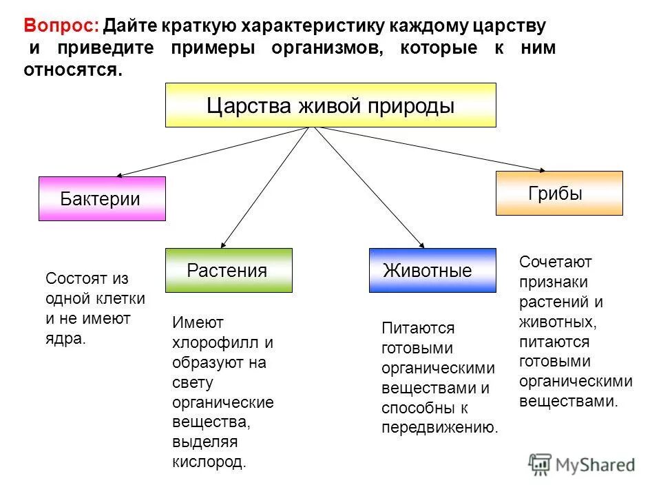 Атомы и молекулы простые и сложные вещества. Как посчитать протоны нейтроны и электроны. Примеры атомов в химии. Из чего состоит каждый элемент. Схема строения электронной оболочки атома.