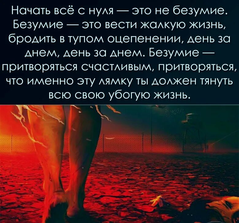 Начал жизнь с нуля. Начать все с нуля это не безумие. начать всё с нуля это не безумие безумие это притворяться счастливым. начать всё сначала это не безумие. начать все с нуля это не безумие безумие.