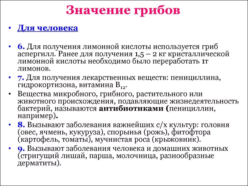 Значение грибов в природе 7 класс биология. Значение грибов. Медицинское значение грибов. Положительное значение грибов. Значение грибов в природе положительное и отрицательное.