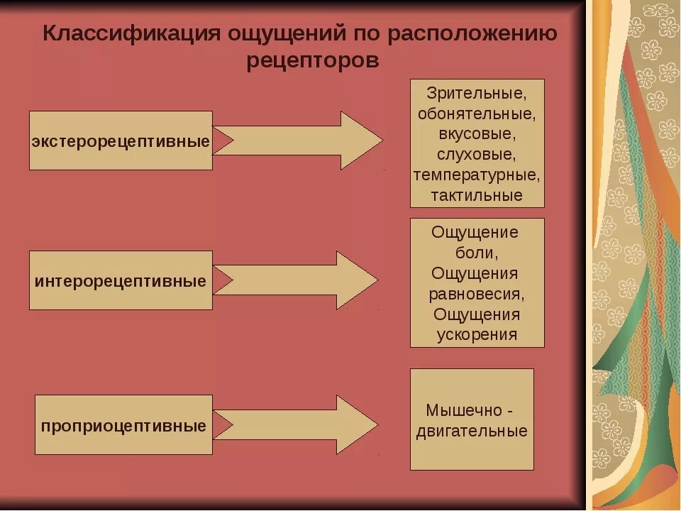 Ощущением не является. Виды ощущений. Виды ощущений в психологии. Классификация ощущений по расположению рецепторов. Виды ощущений ЗР тельные.