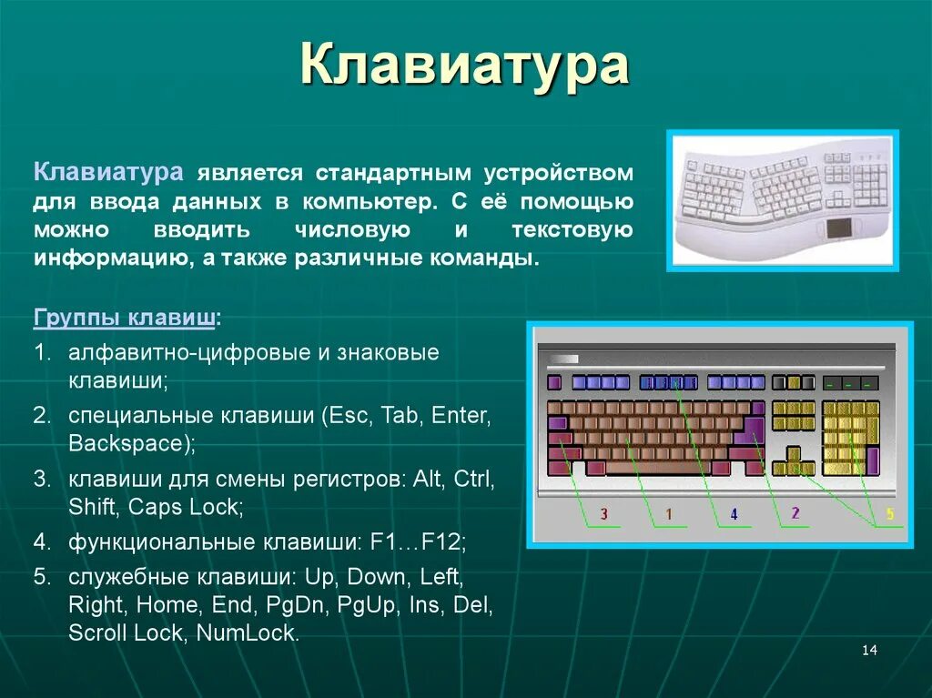 Основная и дополнительная информация текста. Строение клавиатуры. Из чего состоит клавиатура. Из чего состоит клавиатура компьютера. Строение компьютерной клавиатуры.