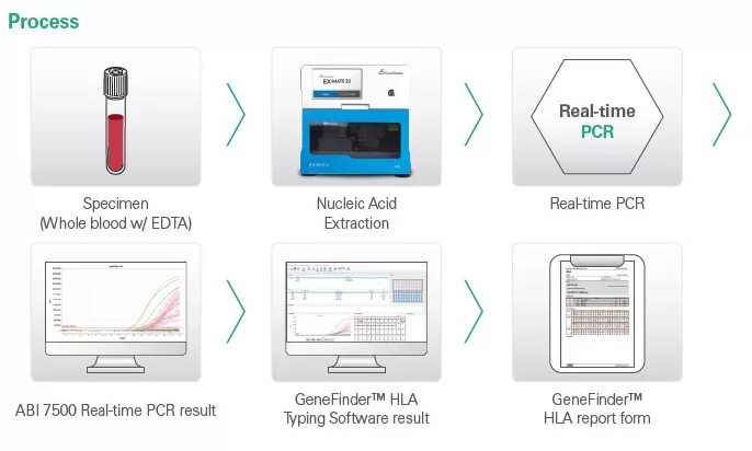 Удаленный терминал iot. Transcription логотип. Real time. Real time. Real time be.