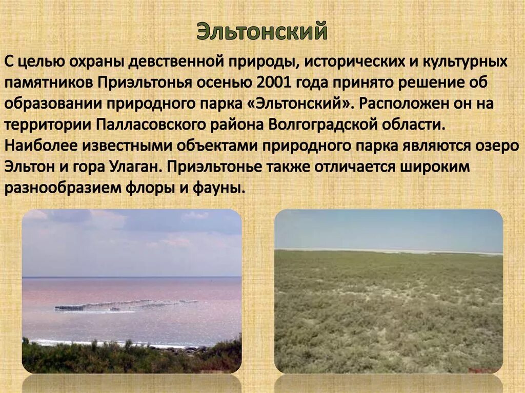 Природные парки доклад. Эльтонский природный парк Волгоградской области. Эльтонский заповедники в Волгограде. Природный парк Эльтонский, 2001. Озеро Эльтон, природный парк «Эльтонский».