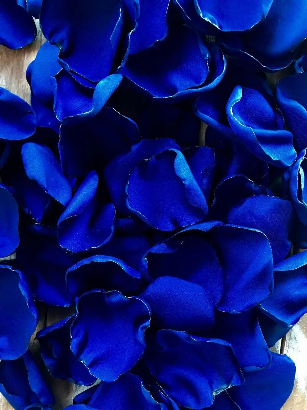 Синее синее сильнее. Синий цвет. Синие цветы. Синей цвет. Ярко синие цветы.