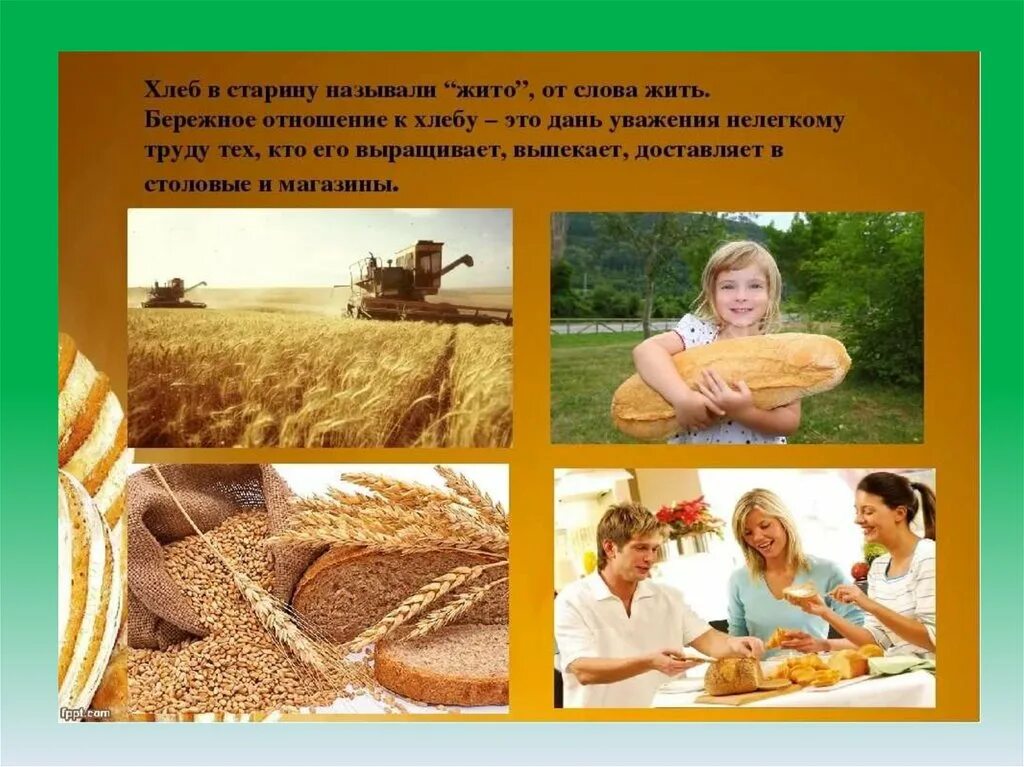 Хлебобулочные изделия в муке. Хлеб. Хлеб на ладошке. Разломанный хлеб. Отношение к хлебу.