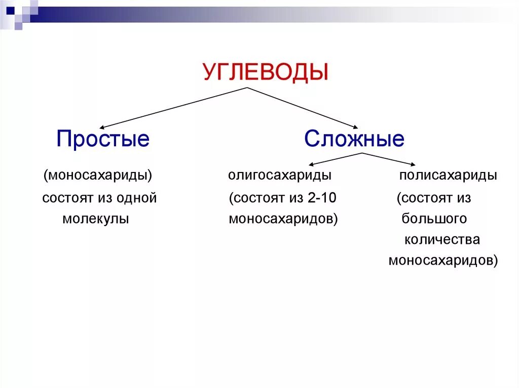 Углеводы еще называют сахаридами. Мономеры моносахариды сложные углеводы. Состоит из 2 моносахаридов. Мономерами углеводов являются. Углеводы состоят из.