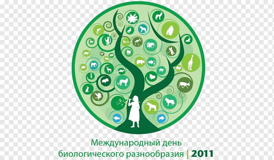 22 Мая Международный день биологического разнообразия. 29 Декабря день биологического разнообразия. Биоразнообразие на прозрачном фоне. Международный день биологического разнообразия 2022. Конвенция о биологическом разнообразии россия