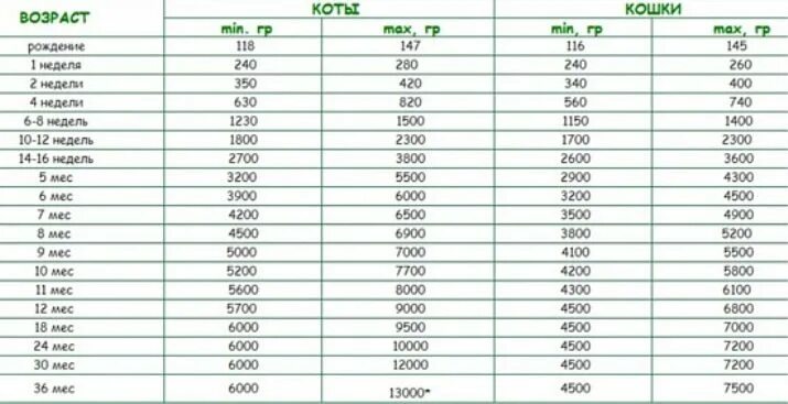Вес шотландского котенка по месяцам таблица вислоухого. Вес котенка по месяцам таблица. Вес шотландского котенка по месяцам. Нормы веса шотландских котят по месяцам таблица. Вес котят по месяцам мейн