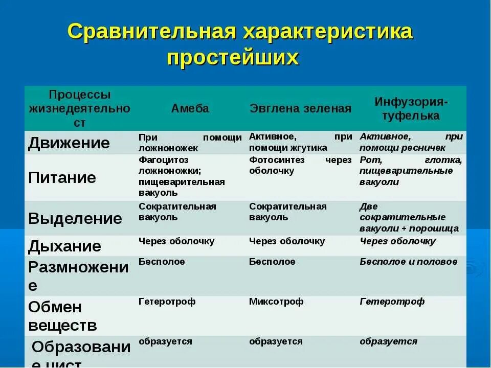 Характеристика простейших таблица 7 класс биология Тип и класс. Таблица по биологии 7 класс сравнительная характеристика простейших. Сравнительная характеристика простейших таблица 7 класс. Таблица характеристика простейших 7 класс. Назовите классы простейших