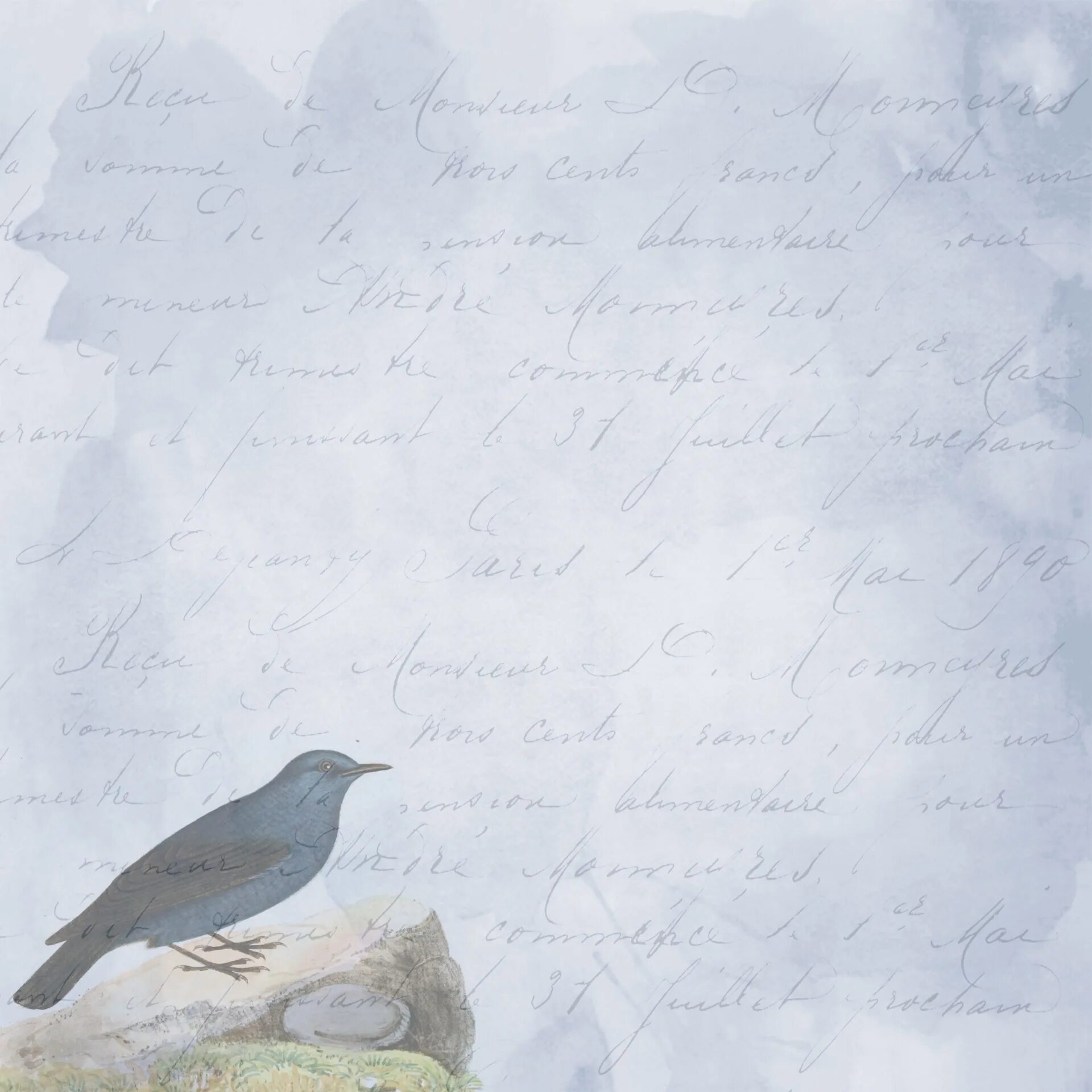 Птичка с письмом. Голубь почтальон. Птичье письмо. Птичье письмо. Птичье письмо.