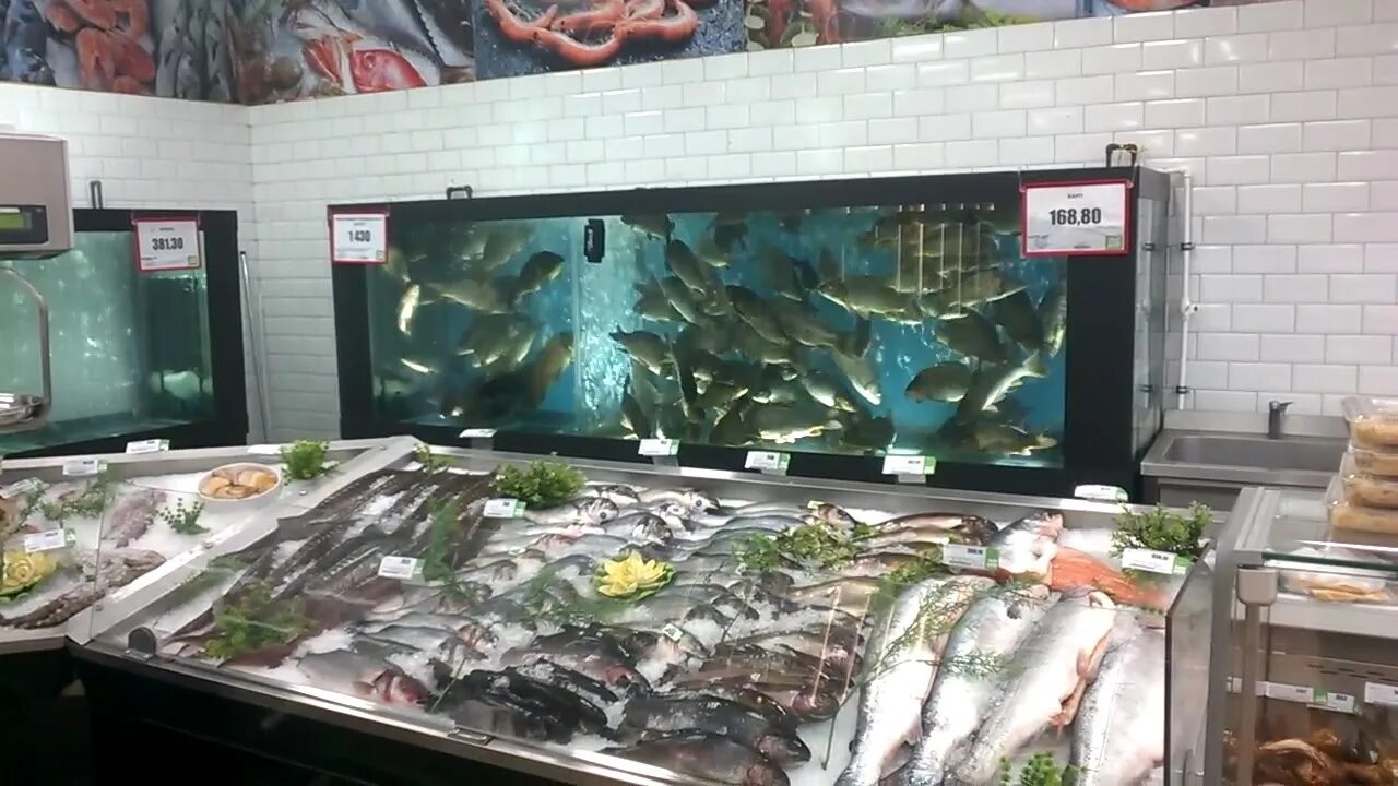 Хранение живой рыбы. Рыбный магазин «Живая рыба» в СССР. Живая рыба в аквариуме. Живая рыба в магазине. Рыбный магазин с живой рыбой.
