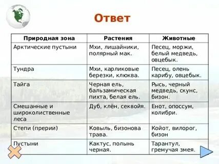 Класс зоны северной. Класс зоны северной. Класс зоны северной. Класс зоны северной. Природные зоны северной америки 7 класс кратко.