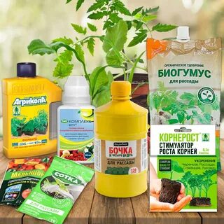 Удобрения для цветов ростов