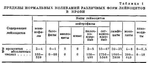 Количество лейкоцитов в крови у мужчин. Лейкоциты в крови таблица нормы. Лейкоцитарная формула и функции лейкоцитов. Лейкоцитарная формула функции лейкоцитов таблица. Пределы нормы лейкоцитов в крови.