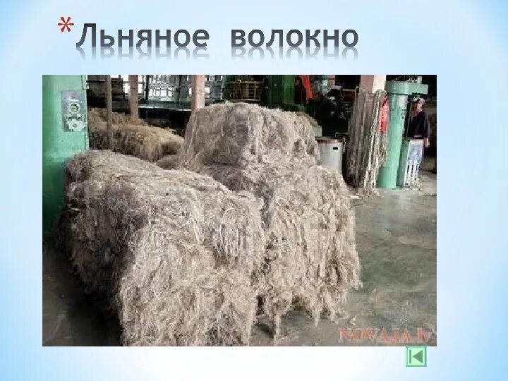 Сырье льняных тканей. Изготовленный из растительных волокон или. Волокна для производства ткани. Растителные волокна лён. Лен-долгунец волокно.
