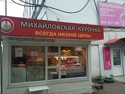 Курицы саратова