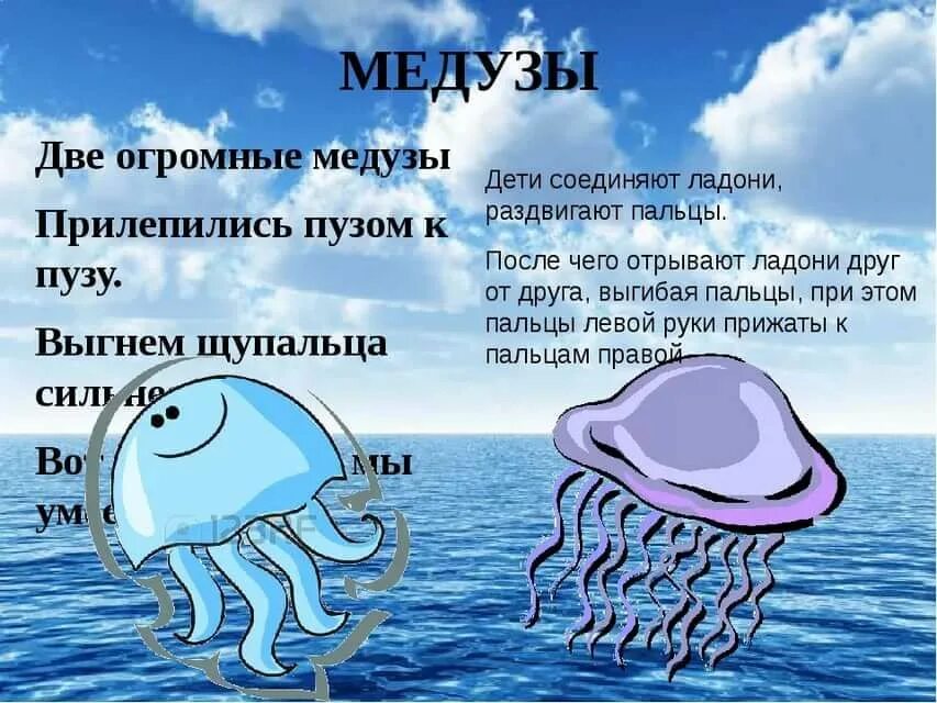 Загадка про океан. Стихотворение про медузу. Стишки про медуз. Физминутка медуза. Детские стихи про медузу.