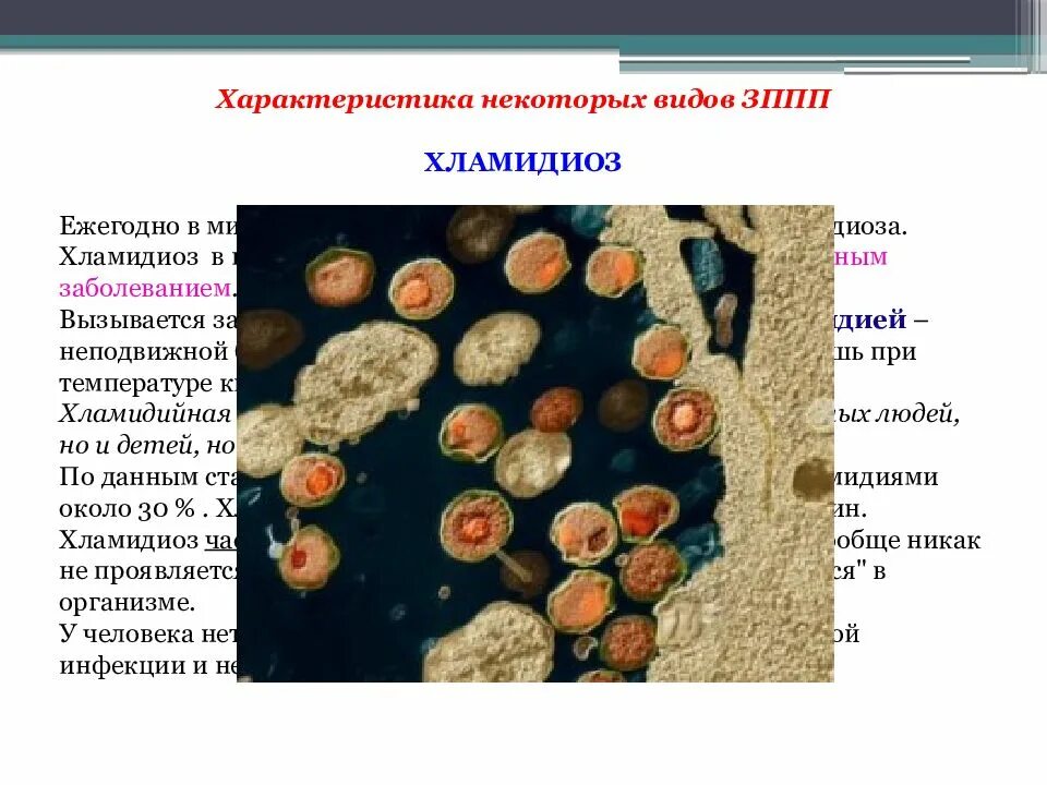 Заболевания передающиеся половым путем зппп. Болезни передаваемые половым путём обж. общая характеристика заболеваний передающихся половым путем. инфекции передаваемые пол путем по обж. инфекции передаваемые половым путем конспект.
