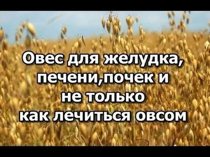 Почки печень овсом
