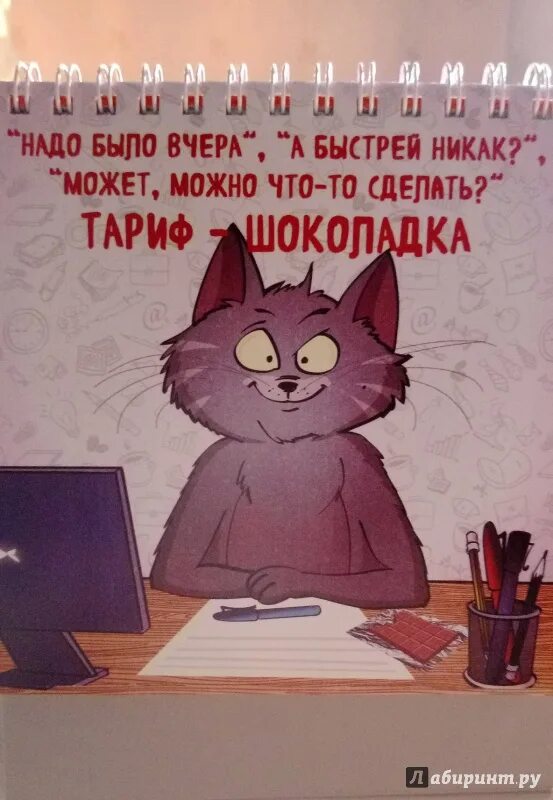 Котостатусы. Котостатус. Котостатус Бомболейо.