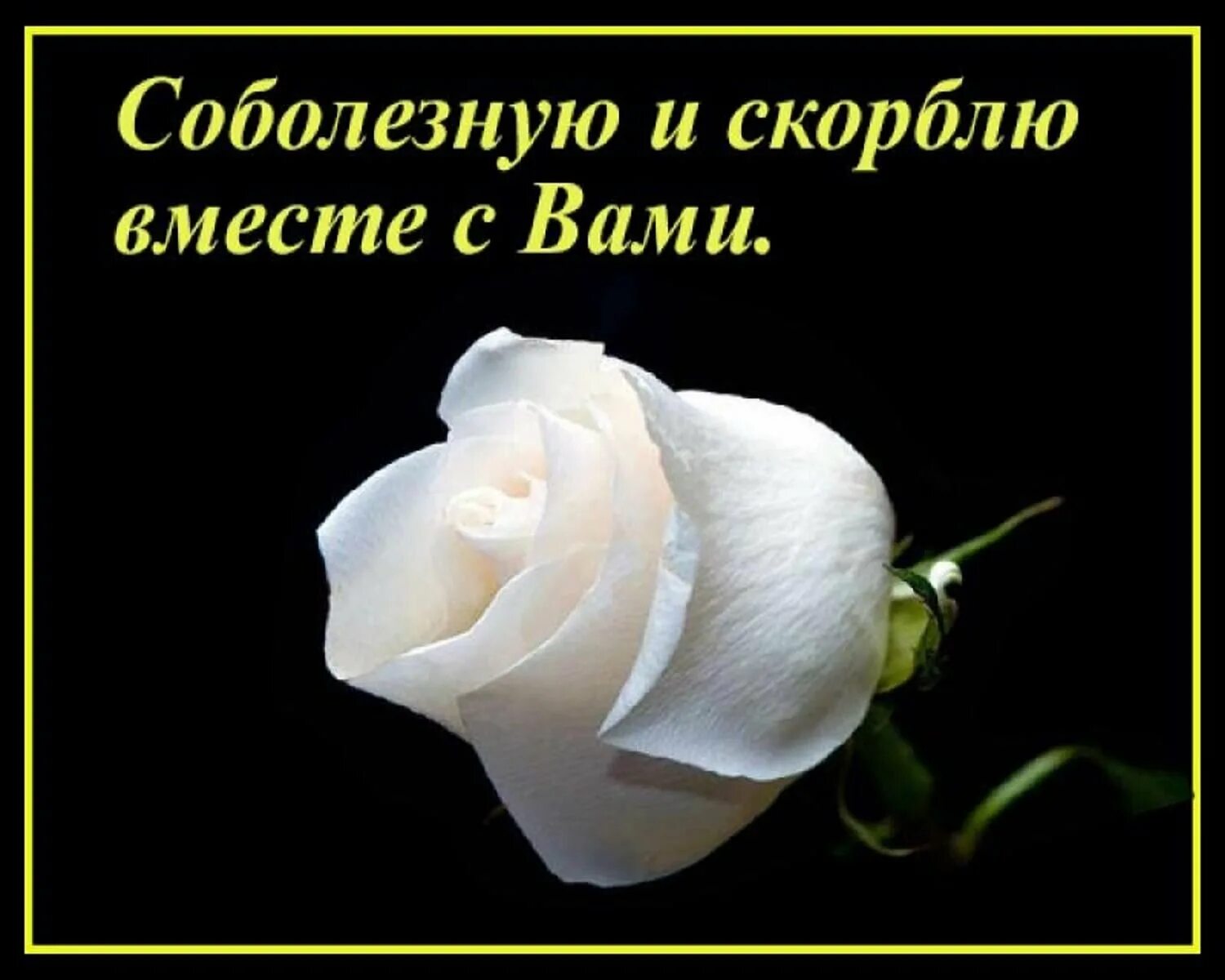 Очень соболезную. Скорбим вместе с вами. открытки соболезнования. открытка соболезную. соболезнуем и скорбим вместе с вами.