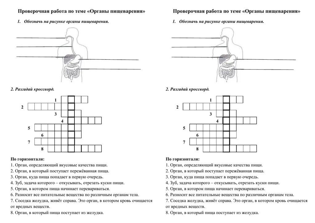 Задания по теме пищеварение. Органы пищеварительной системы проверочная работа. Проверочная работа по теме пищеварительная система организма. Задания на тему пищеварительная система.