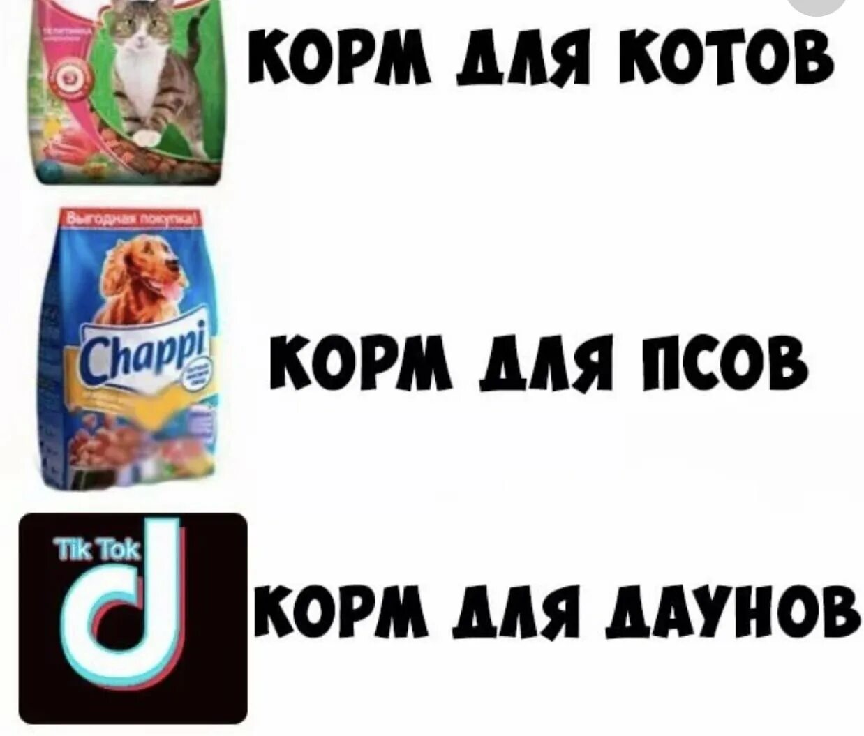 Мемы из тик тока лица. Мультсериалы из тик тока. Тик ток фон. Cviyst rfhnbyrb bp nbr njrf. Классные фотографии из тик тока.
