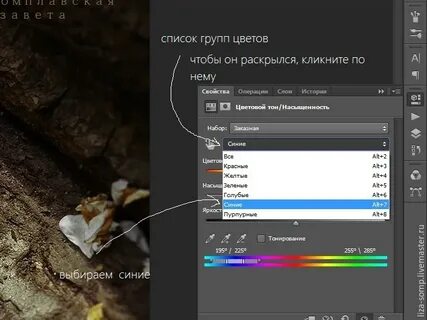 Какая программа меняет