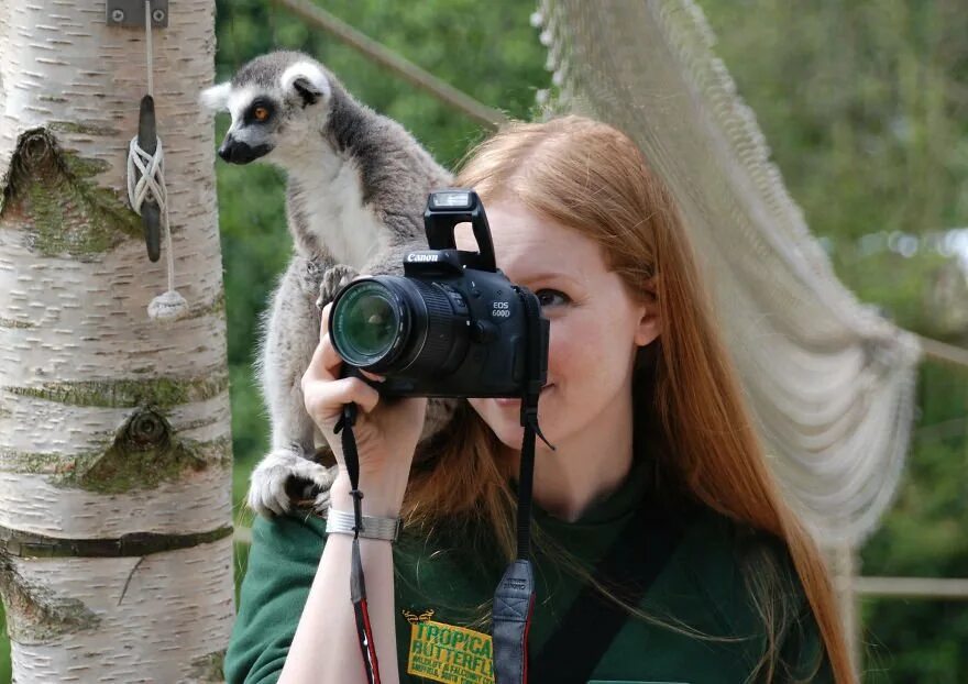 Фотограф с животными. Фотограф фотографирует животных. Интересные фотографии. Фотограф дикой природы профессия. Фотографы дикой природы