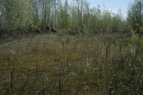 Рекультивация площадки