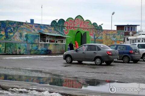 Зоопарк великий новгород
