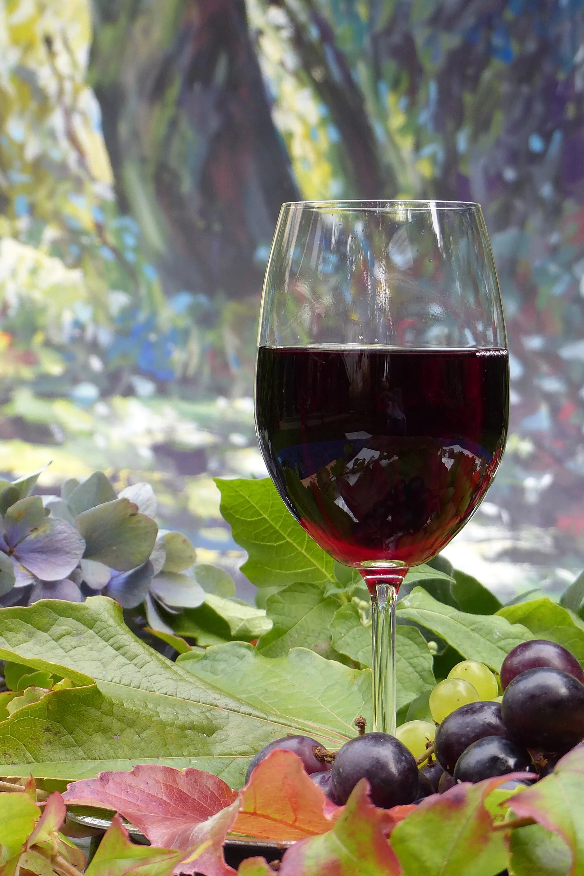 Виноградное вино с травами. Красное вино. Бокал вина. Красное вино в бокале. Бокал красного вина.
