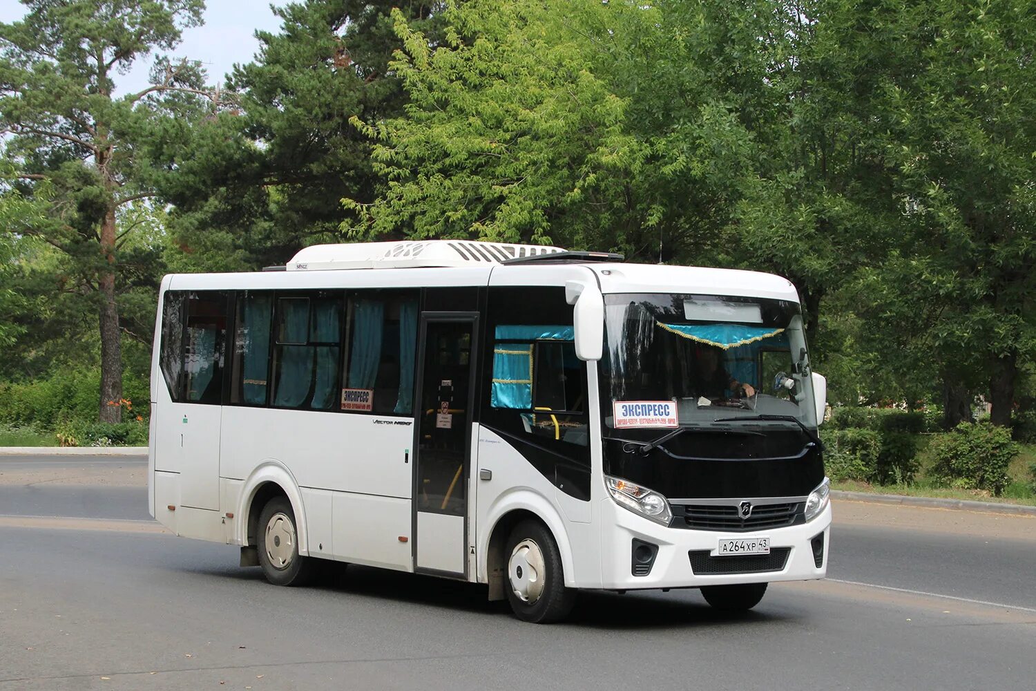 Паз междугородный. Паз междугородный. Паз 320540 2020. М691ах196\ро. Паз вектор 8.