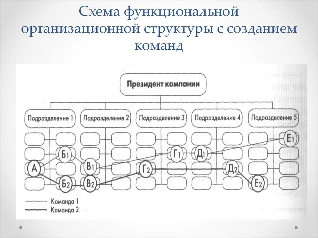 Организационно функциональная схема. Функциональная организационная структура схема. Схема функциональной структуры. Организационно-функциональная структура.