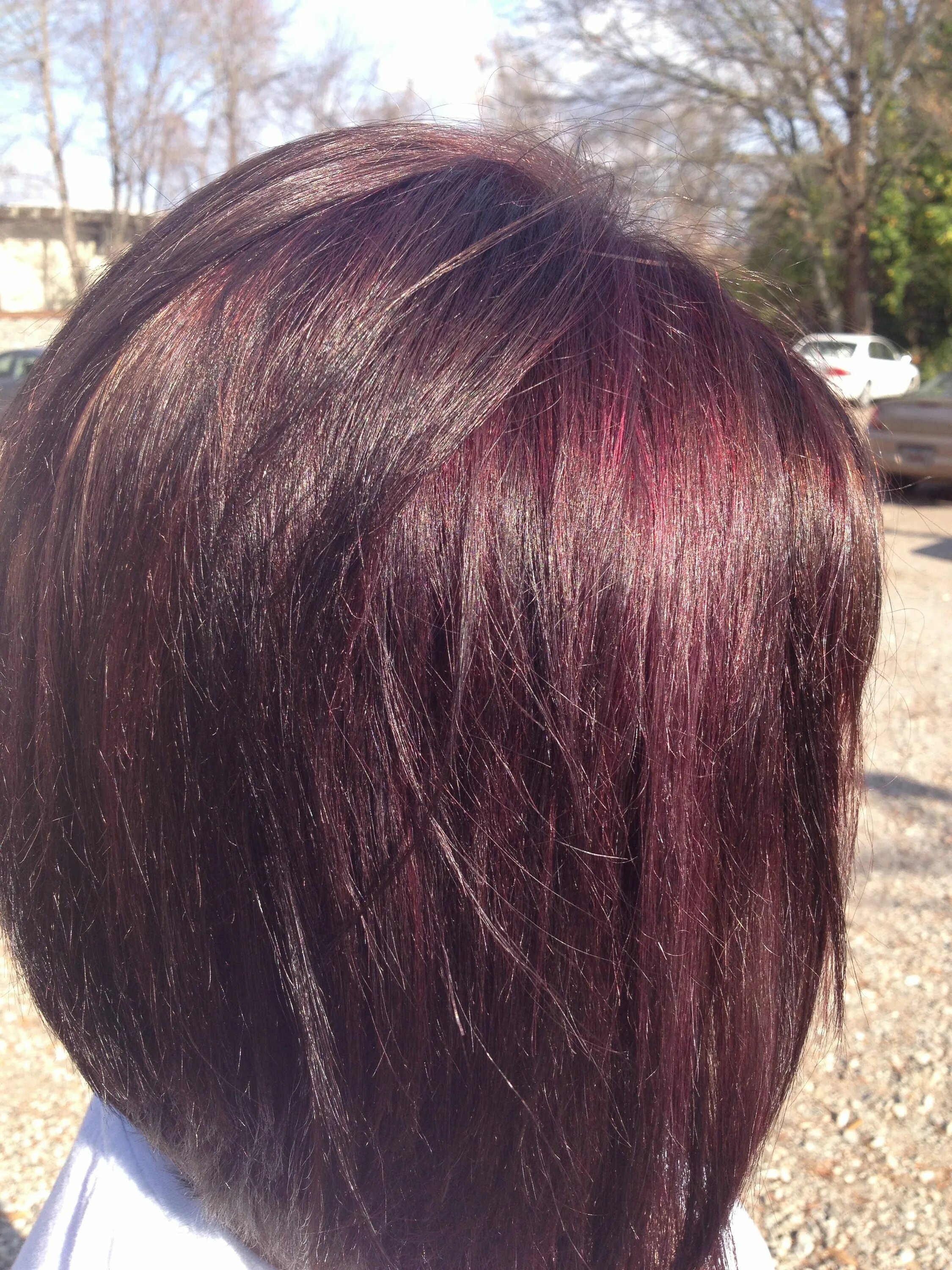 Mahogany Hair Hair color mahogany, Mahogany hair, Wine hair