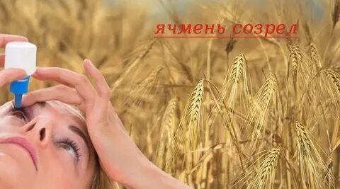 Заговор на ячмень кукиш кукиш читать