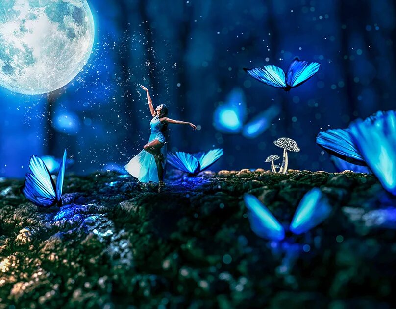 Волшебные бабочки. Светлячки бабочки. Волшебные голубые бабочки. Синие волшебные бабочки. Спящие ночью бабочки
