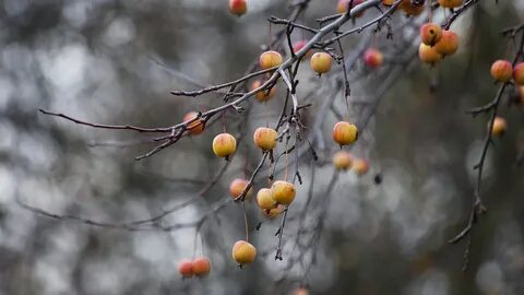 Погода в ноябре тепло