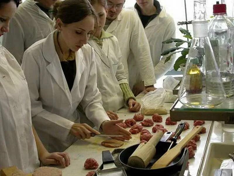 Технолог молочной промышленности. Окз пищевое производство. Оборудование мясного цеха. Окз пищевое производство. Окз пищевое производство.