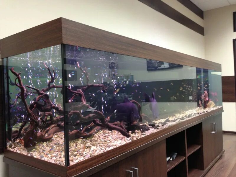 светильник для аквариума риф 2х40 вт. 450 литров. аквариум 2 метра. аквариум 180см 53см 55см. аквариумный набор 260 л juwel vision 260 led.